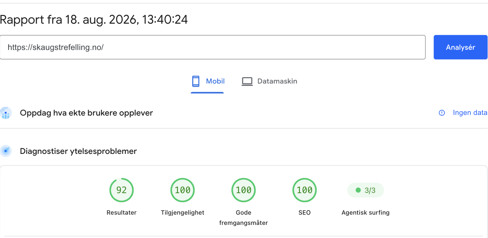 PageSpeed Insights for Skaugs Trefelling på mobil: 92 av 100 i ytelse, 100 / 100 / 100 i tilgjengelighet, gode fremgangsmåter og SEO